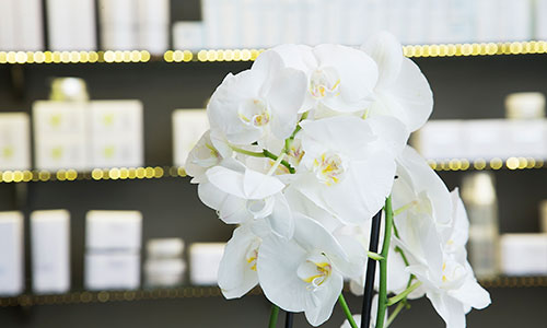 kauneuskeskus Primo Donna